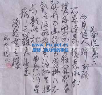 梅花香自苦寒来12 u=2878222762,1779588585&fm=23&gp=0[1].jpg